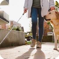 A person in a green shirt, white jacket and jeans walks down the street with a white mobility cane in their right hand and their left hand holding the collar of a golden retriever service dog.