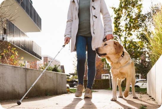 A woman in a white coat is walking down a sidewalk with a white mobility cane in her right hand, and her left hand holding onto a golden retriever.